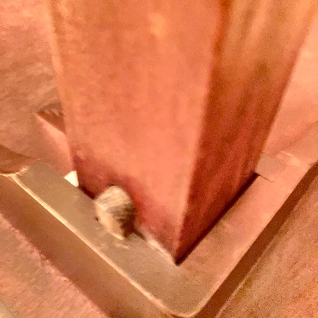 レトロ 純和風 欅ケヤキ 天然木材 コンパクトテーブル 和風 和室 ちゃぶ台