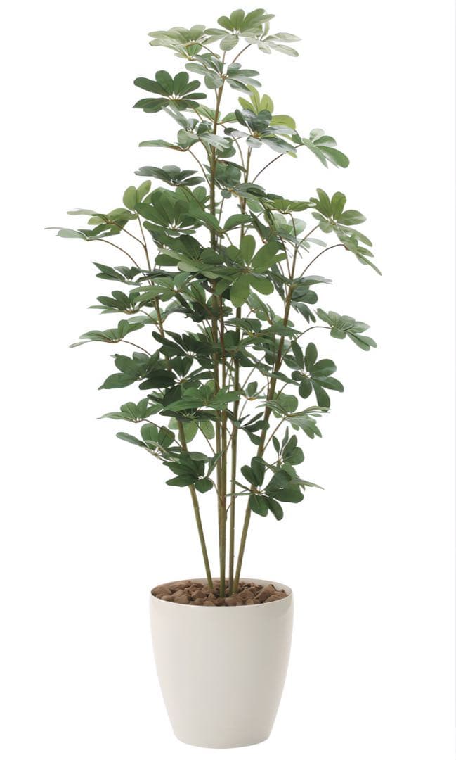 光触媒　人工観葉植物　ウォールグリーン　フェイクグリーン　カポック 1.8m