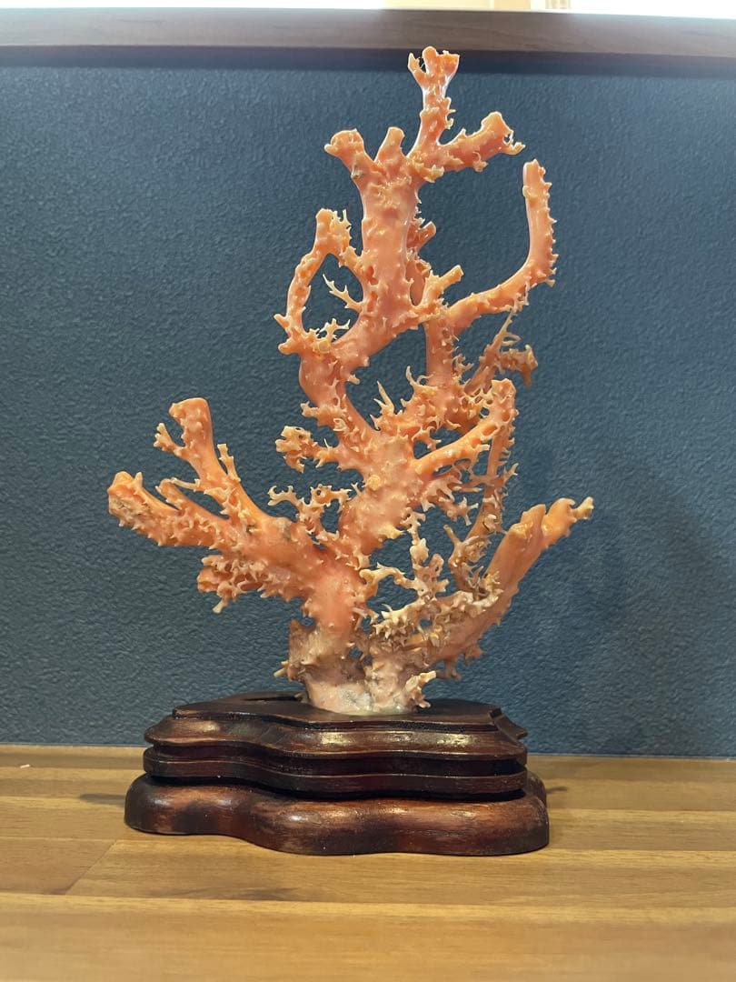 ピンク珊瑚 原木枝 土台付き 約20.5cm