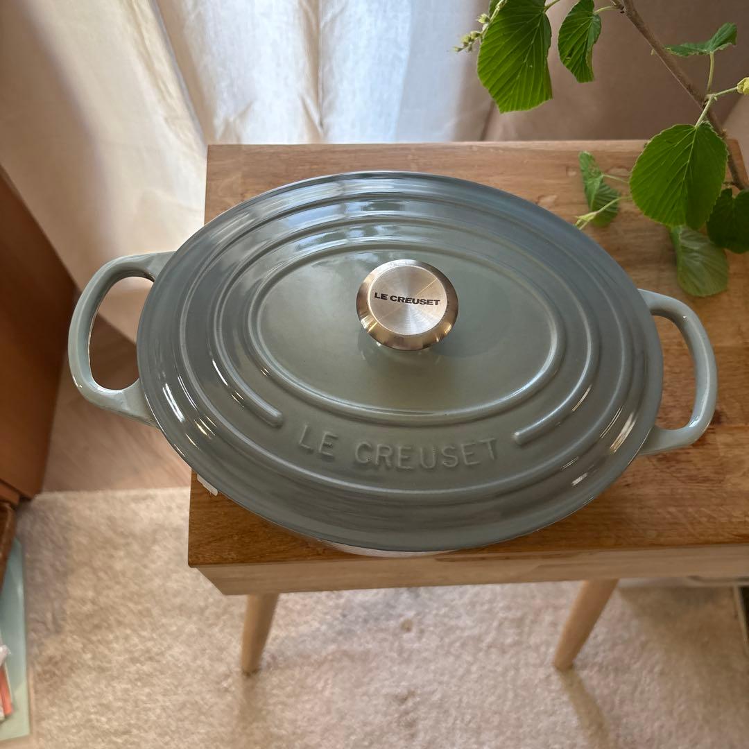 ル・クルーゼ オーバル 両手鍋 25cm シーソルト 限定色