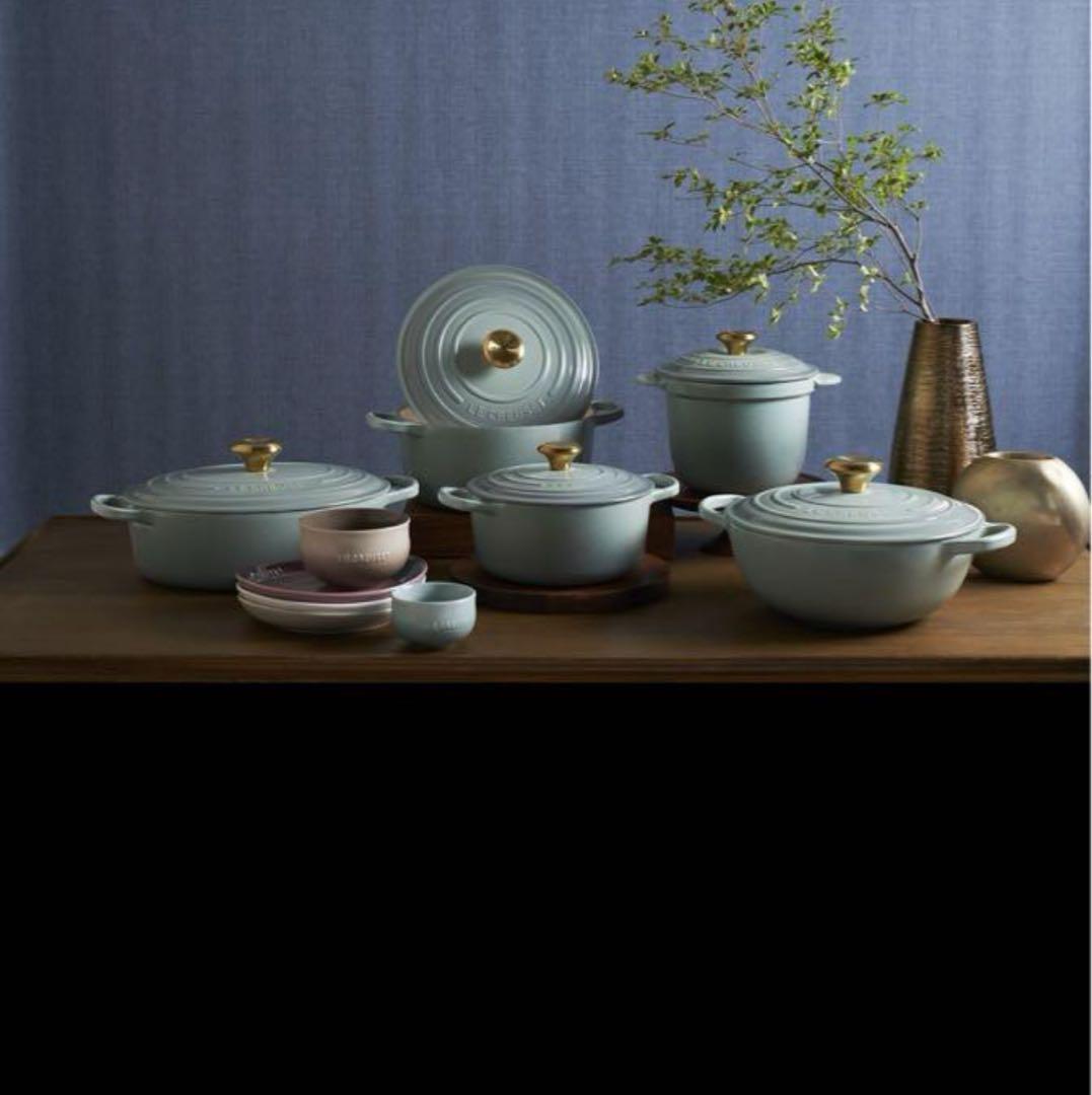 ル・クルーゼ オーバル 両手鍋 25cm シーソルト 限定色