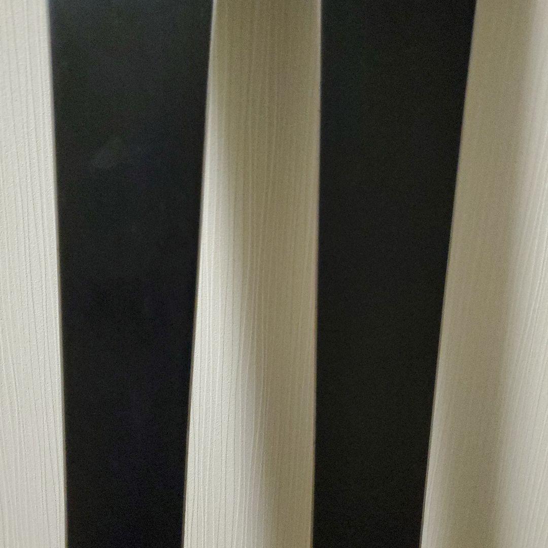 フォルクル SD Volkl PLATINUM SD 165cm スキー板