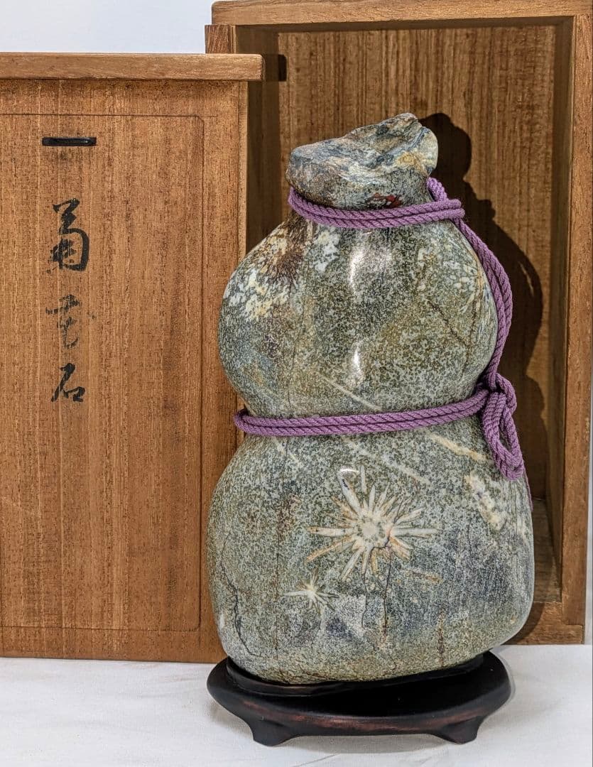 菊花石 梨地に糸菊　根尾 鑑賞石 水石 　文化財級　小林宗閑箱書き　在銘台座