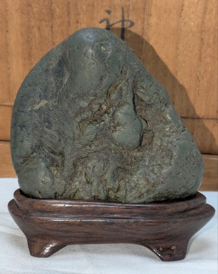 菊花石 梨地に糸菊　根尾 鑑賞石 水石 　文化財級　小林宗閑箱書き　在銘台座