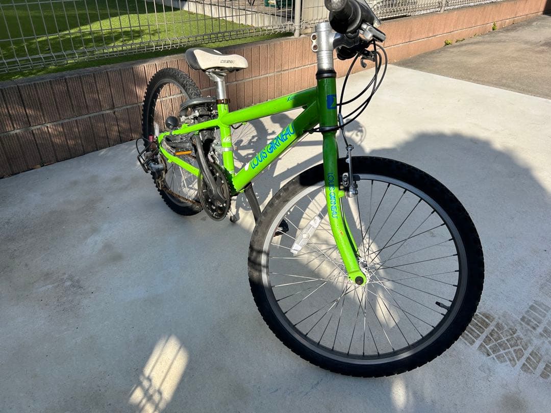 LOUIS GARNEAU ジュニアマウンテンバイク グリーン　J22(手渡し)