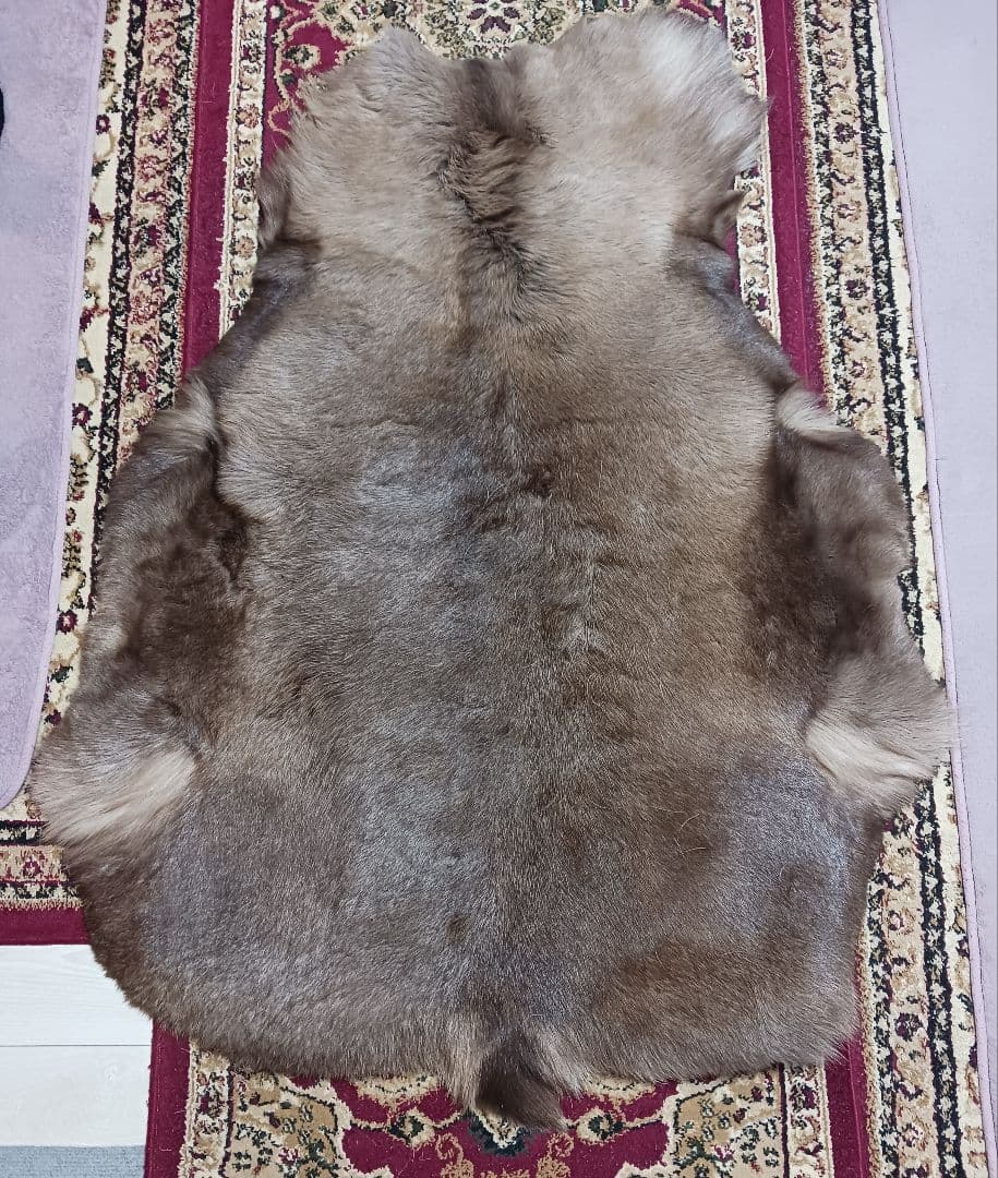 トナカイの毛皮