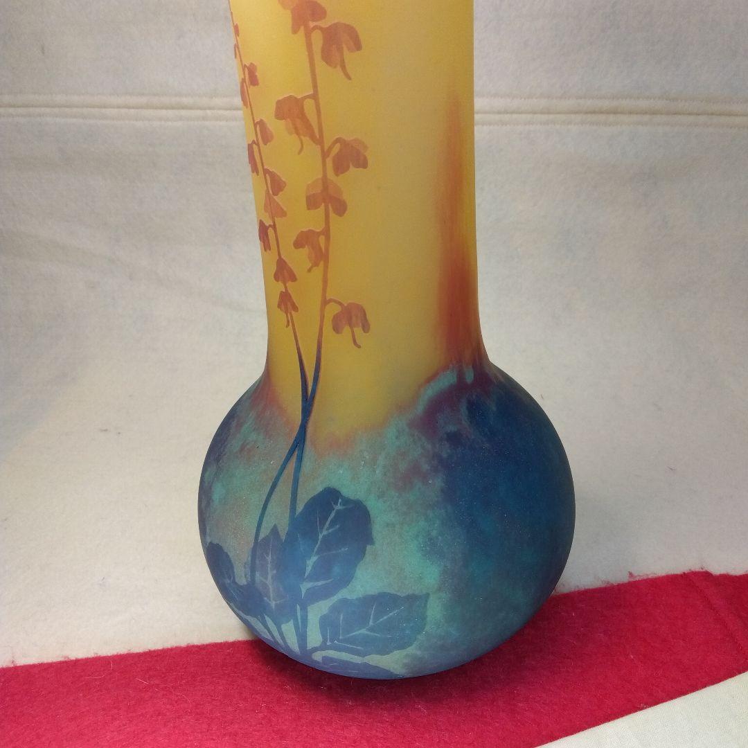 DaumNancy 　洋蘭彩