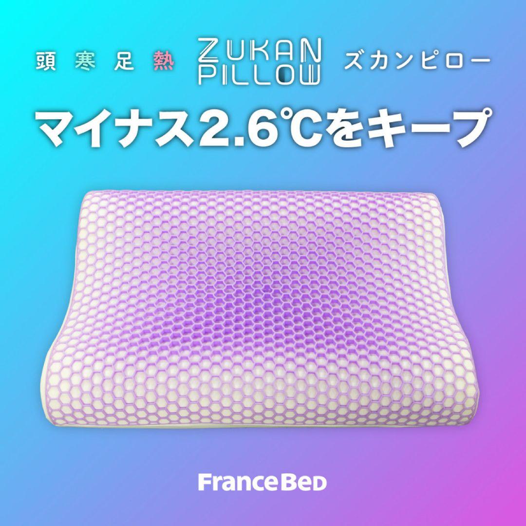 【値下げ中】フランスベッド ZUKANピロー