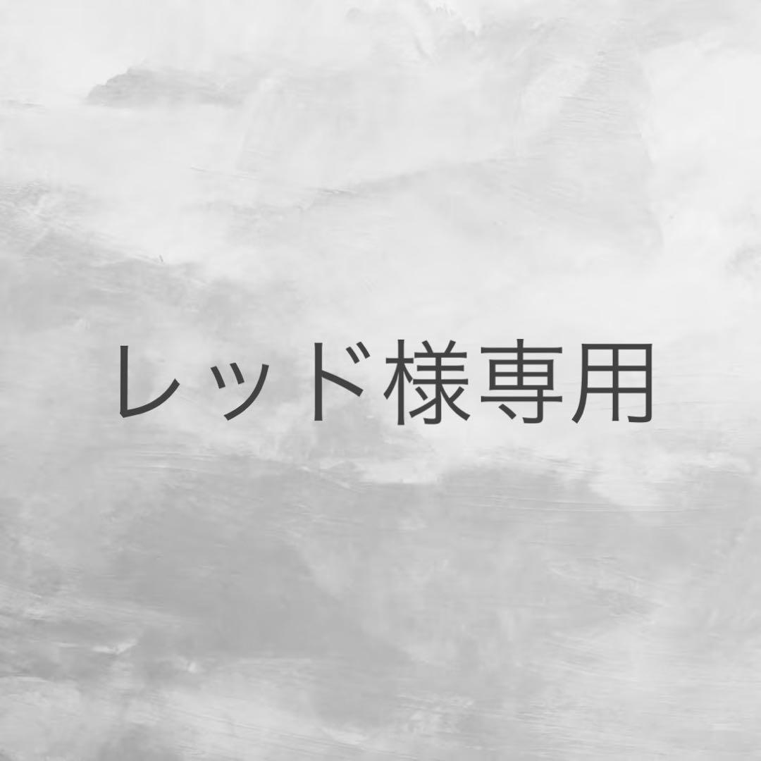 アスティエ スヌーピー SNOOPY オーナメント