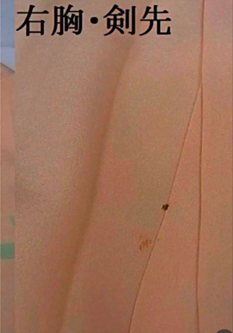 豪華振袖　友禅　花車文　正絹　逸品