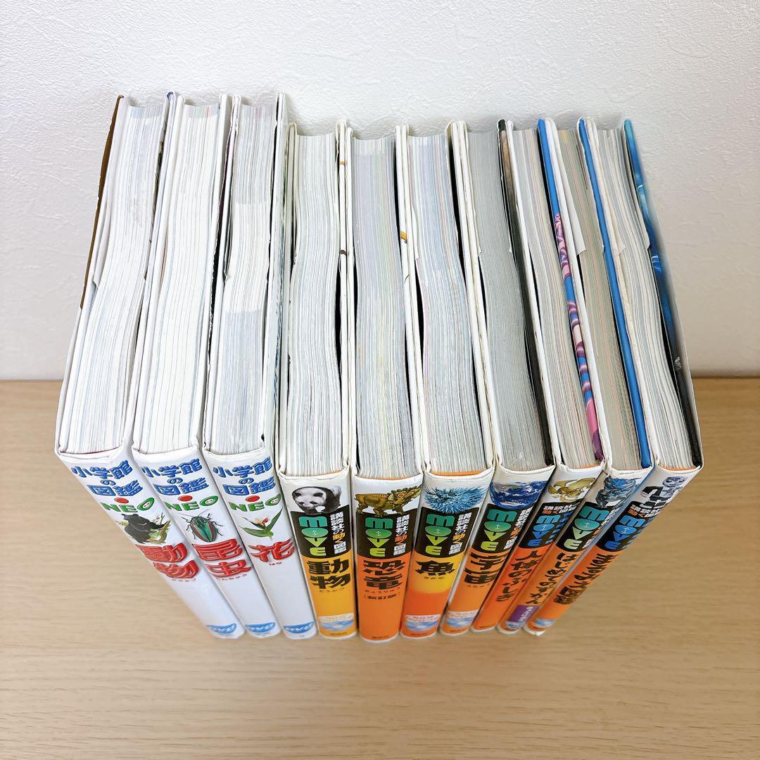 小学館の図鑑NEO 講談社の動く図鑑MOVE 【全DVD付】10冊セット ●