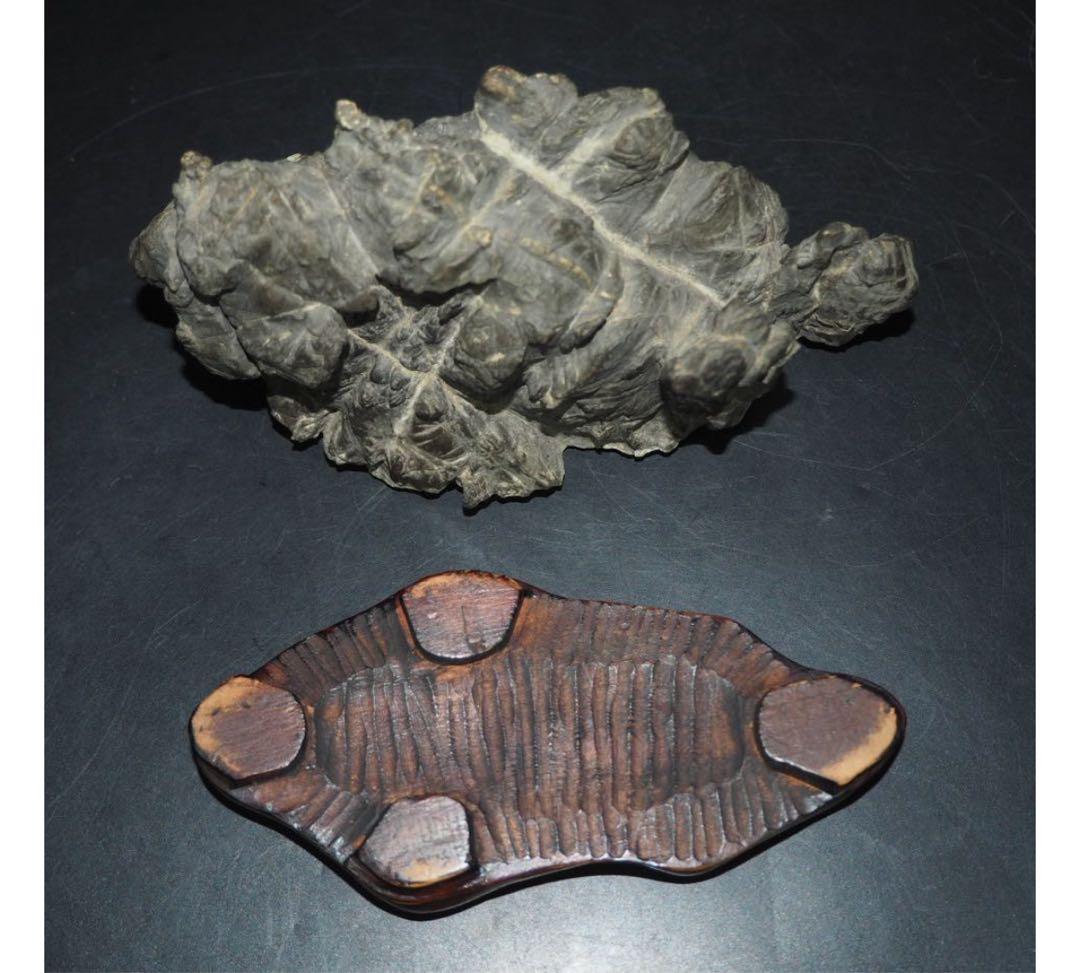 送料無料　鑑賞石愛好家蒐集品　山水石　鑑賞石 天然石 盆石 奇石