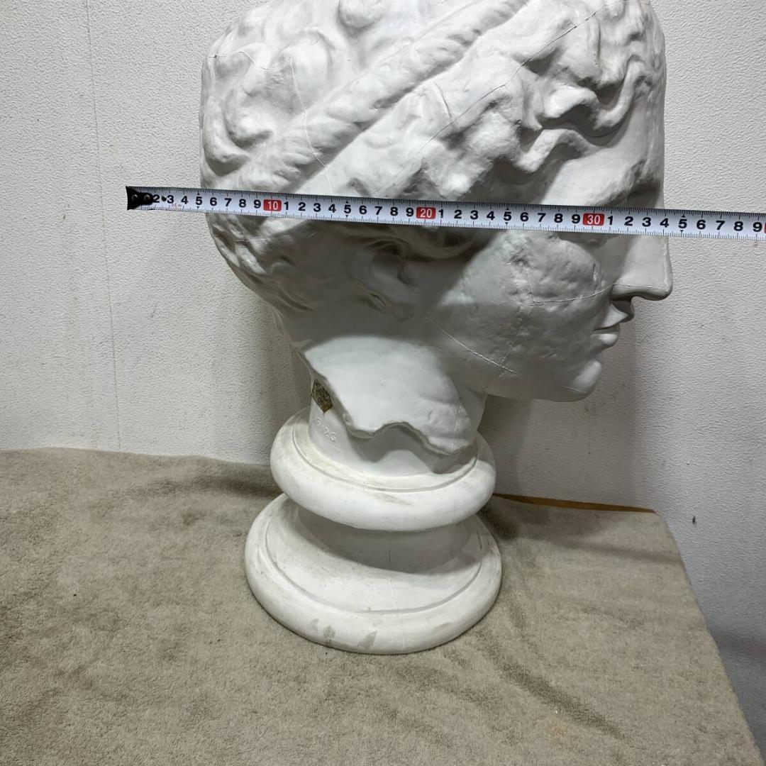 石膏像　パルテノン　像　ラボルト　重さ6.5Ｋg　高さ56ｃｍ　XZ3831
