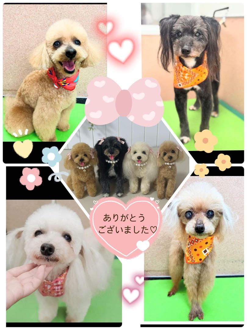 ＊羊毛フェルト＊うちのこオーダー