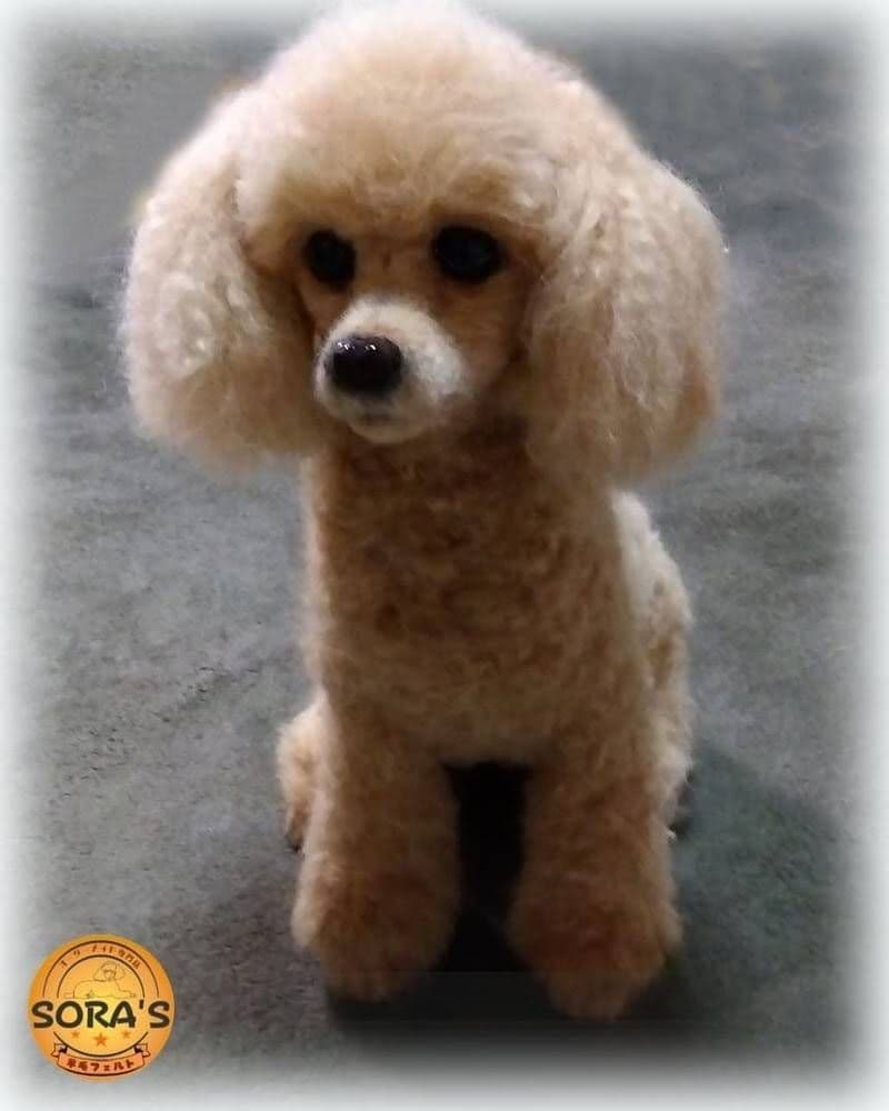 愛犬の羊毛フェルトオーダー・受付専用ページ・わんちゃん