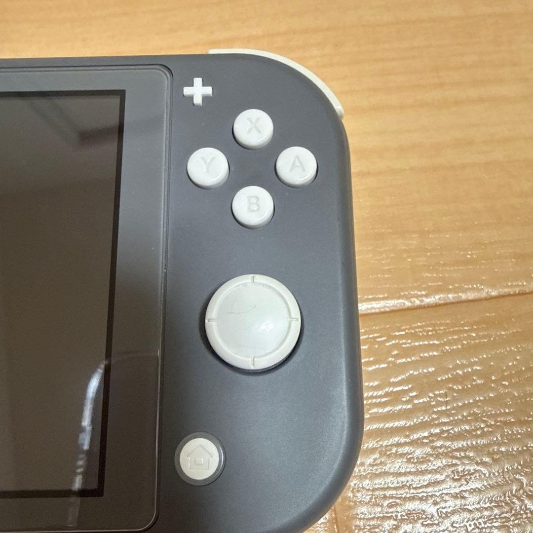 ニンテンドーSwitchライト　グレー本体、ケースのセット