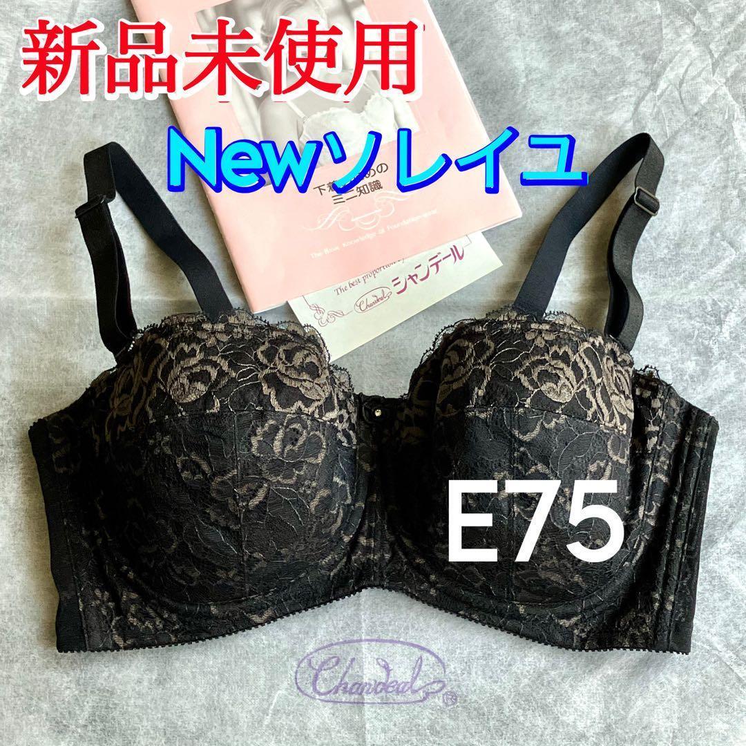 小太郎のお母さんページ