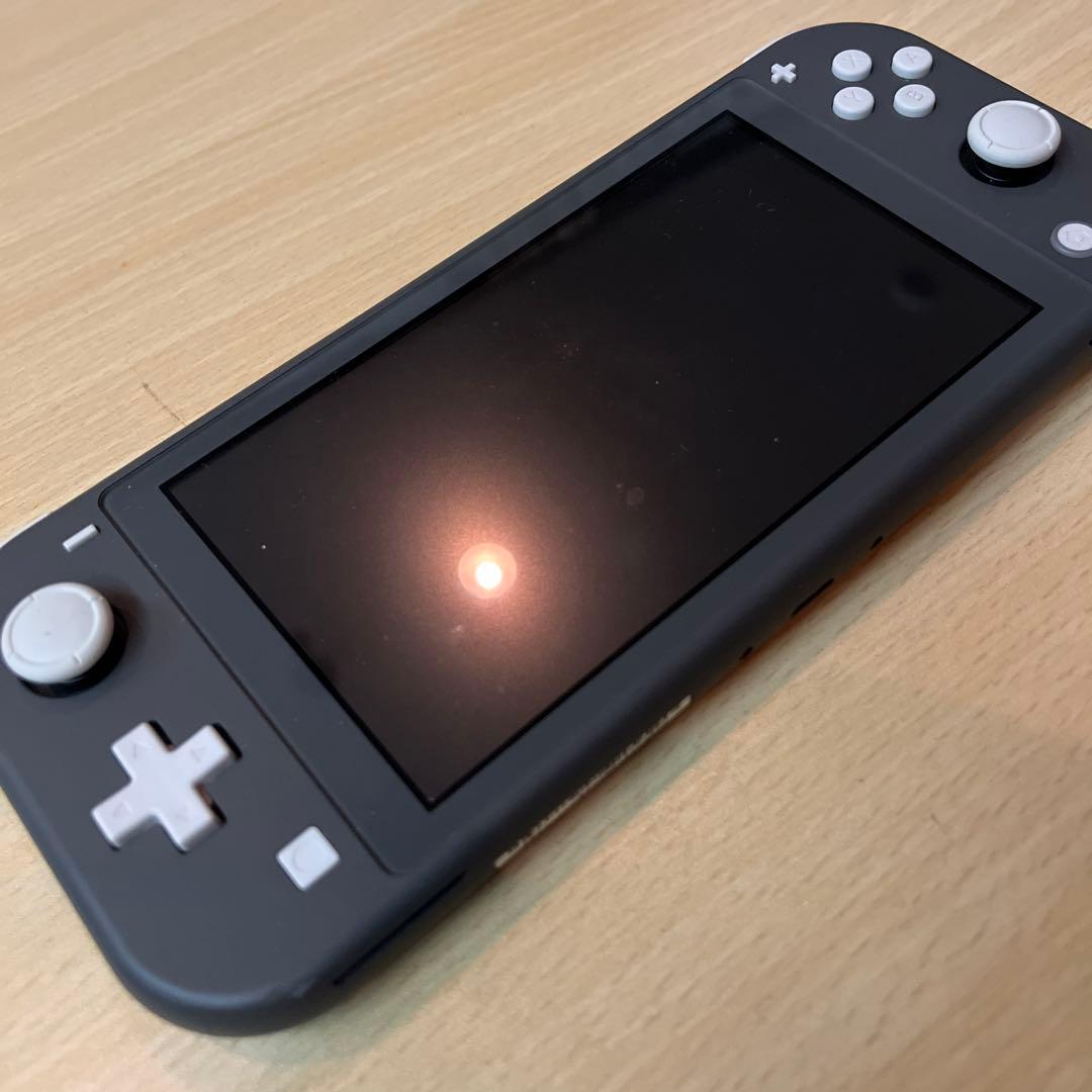 【美品】Nintendo Switch Lite グレー 本体　充電器　箱無し
