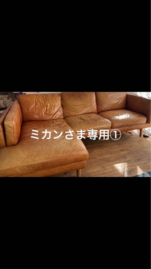 ミカン①
