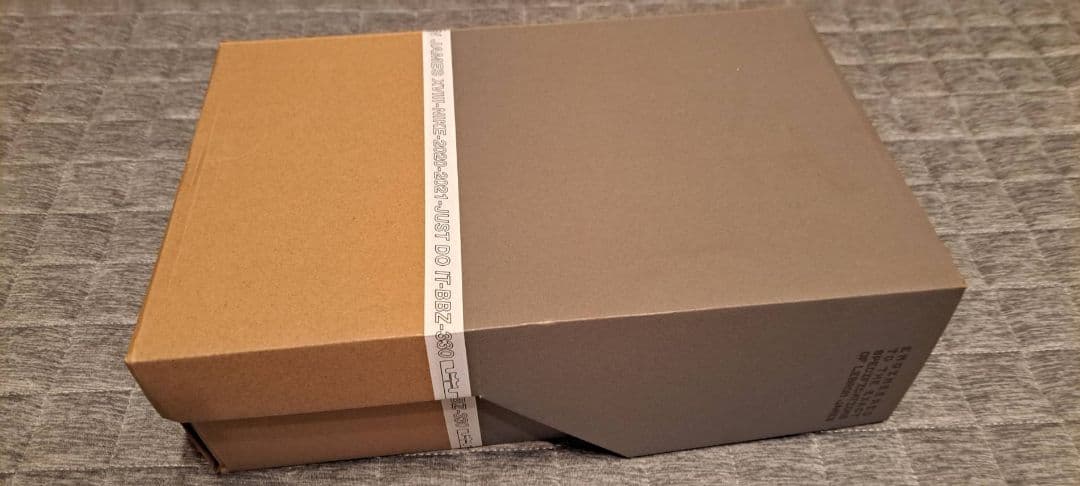 【極美品】ナイキ レブロン18 ロー バイオテック 29.0cm