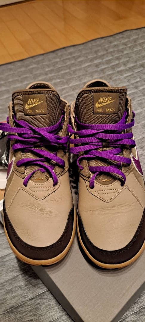 【極美品】ナイキ レブロン18 ロー バイオテック 29.0cm