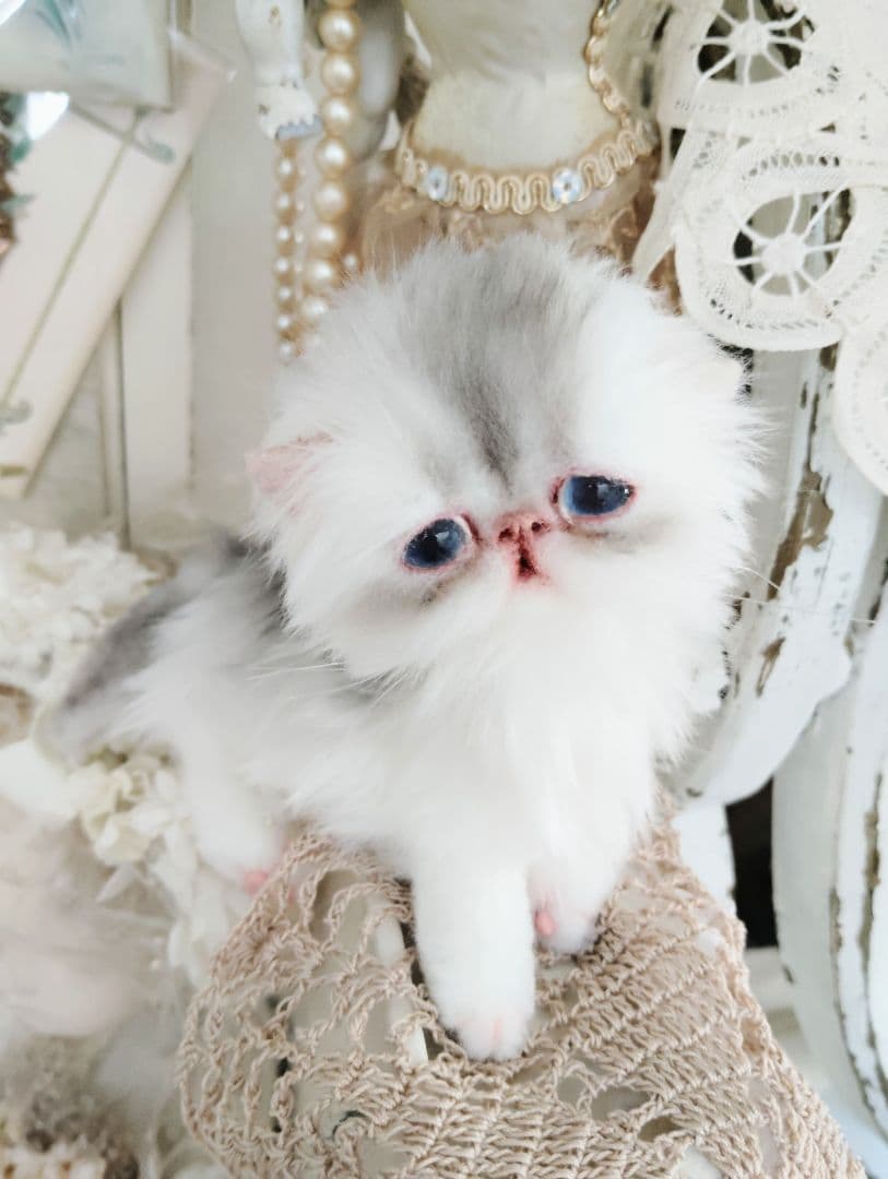 生後10日♡くりくりオメメの子猫ちゃん♡アートドール♡ぬいぐるみ♡