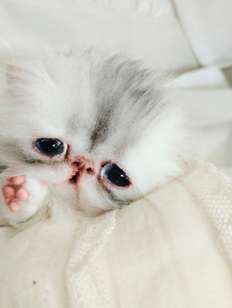 生後10日♡くりくりオメメの子猫ちゃん♡アートドール♡ぬいぐるみ♡