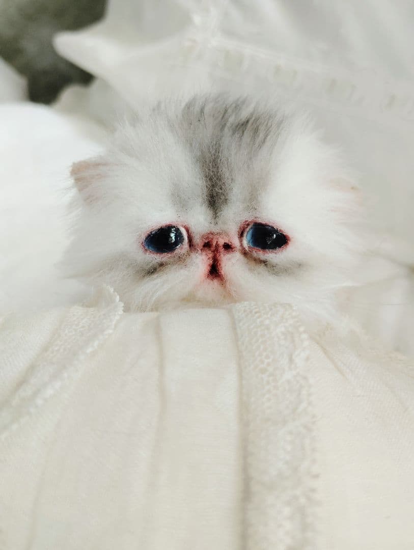 生後10日♡くりくりオメメの子猫ちゃん♡アートドール♡ぬいぐるみ♡