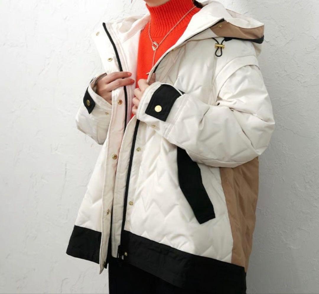 RISLEY ダウンマウンテンパーカー