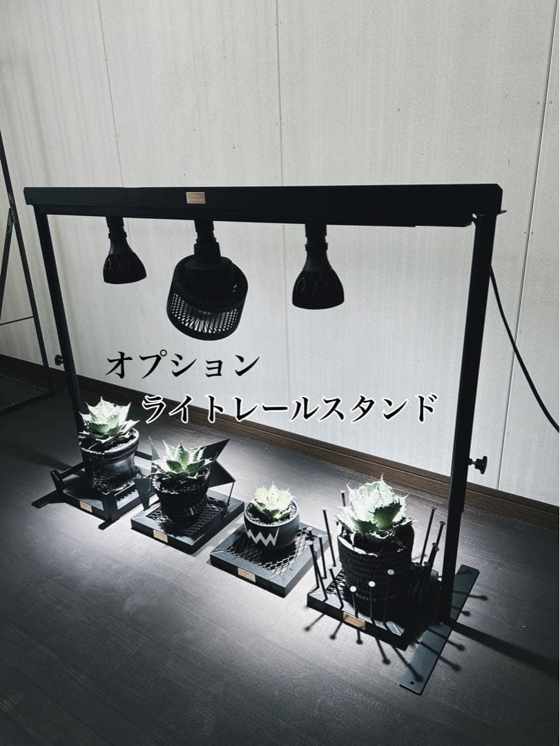 ☆送料込み☆アイアンシェルフ即購入OK 植物棚　ボタニカルシェルフ　アガベ　塊根