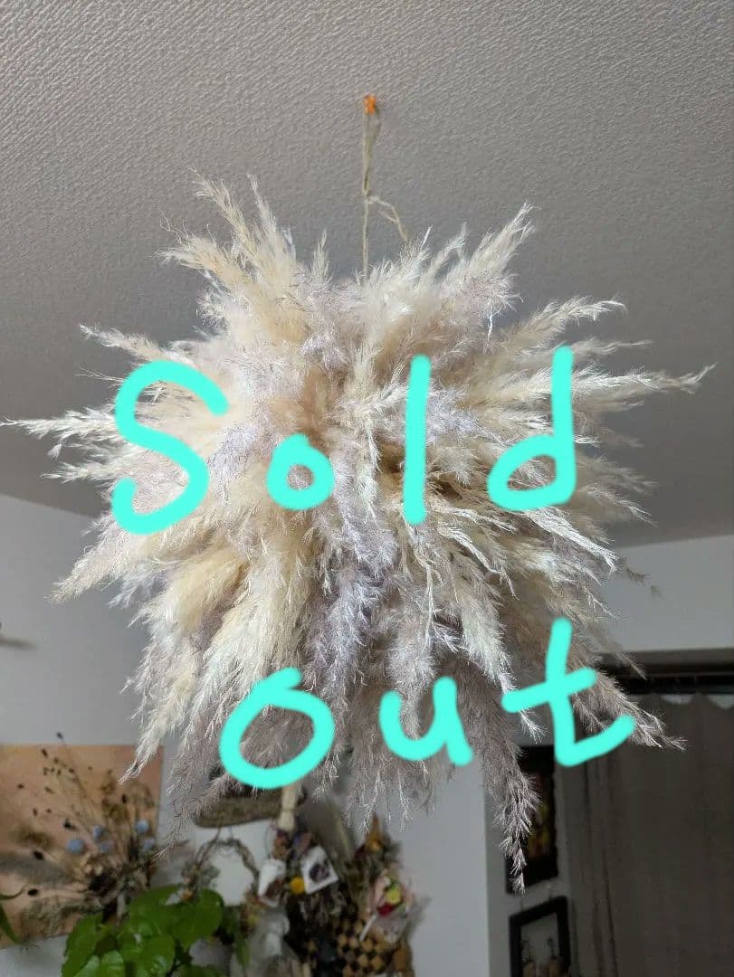 ドライフラワー★ふわふわパンパス特大フライングボール★インテリア♪癒し♪可愛い♪