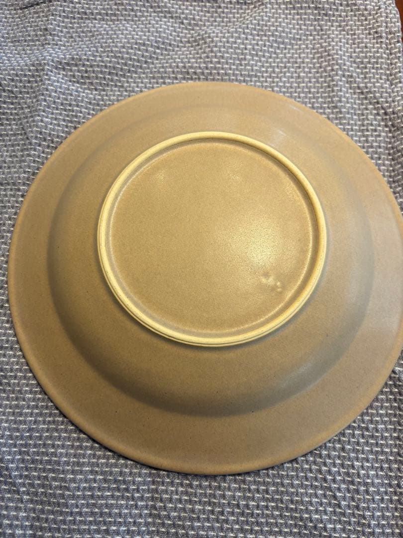 あわびウェアパスタ皿　２枚セット