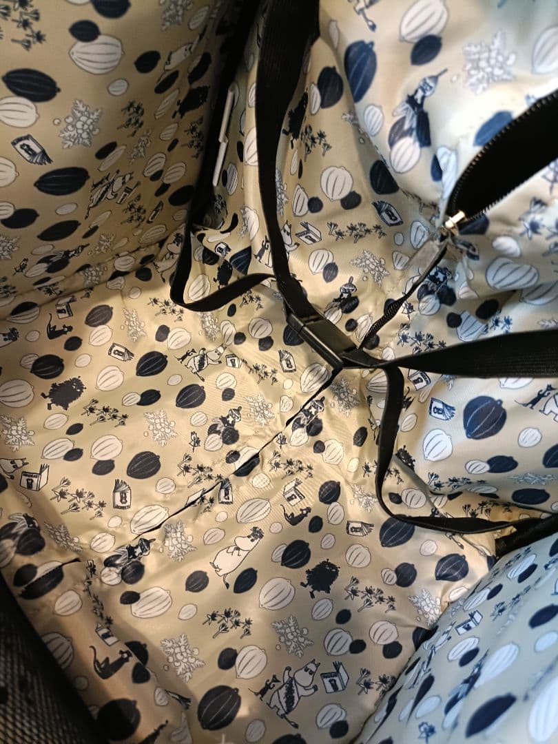 JR東日本購入ムーミン★リトルミィソフトキャリー16000円使用2泊3日のみ美品