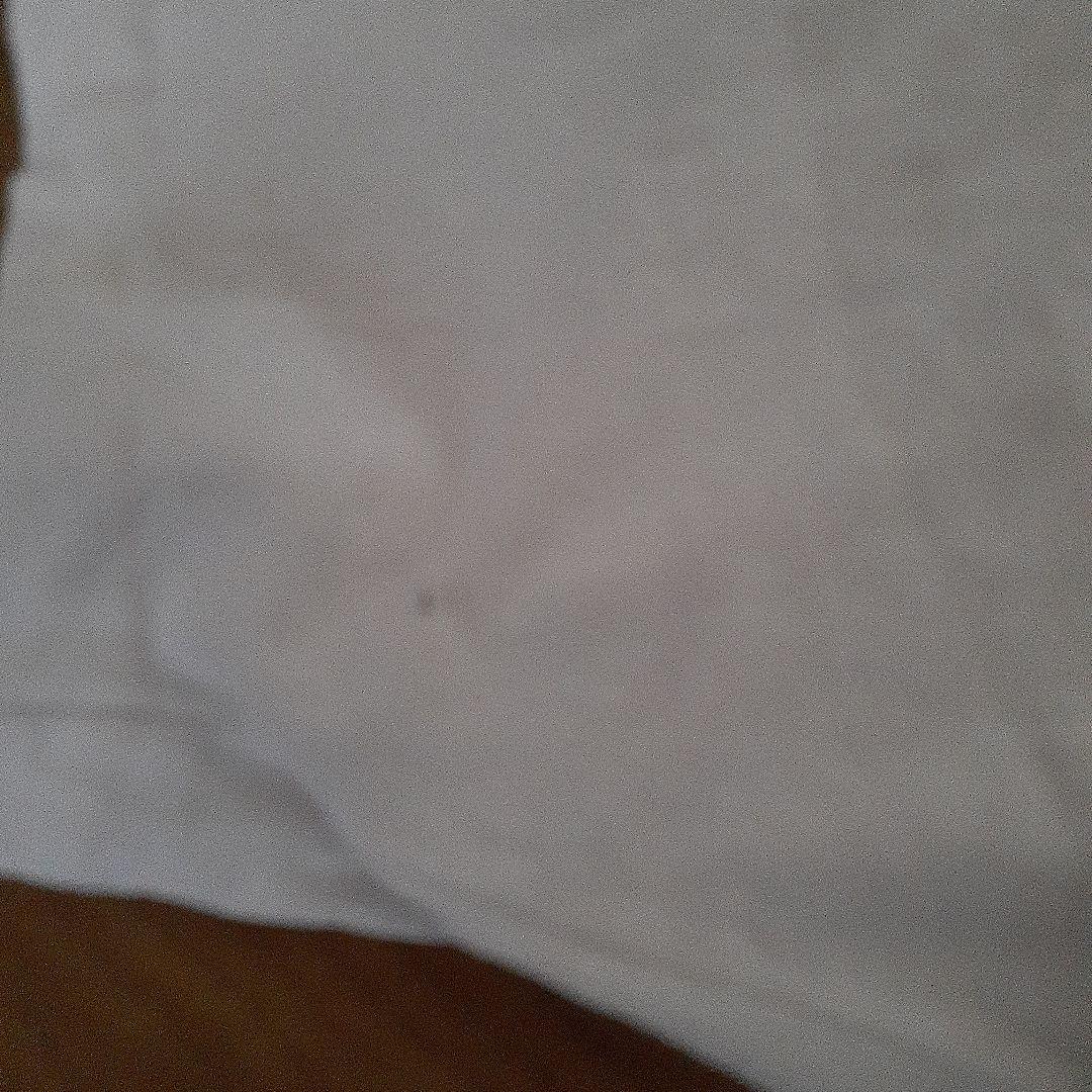 【80'USA ヴィンテージ‼️】アーティスティックプリントT　シング