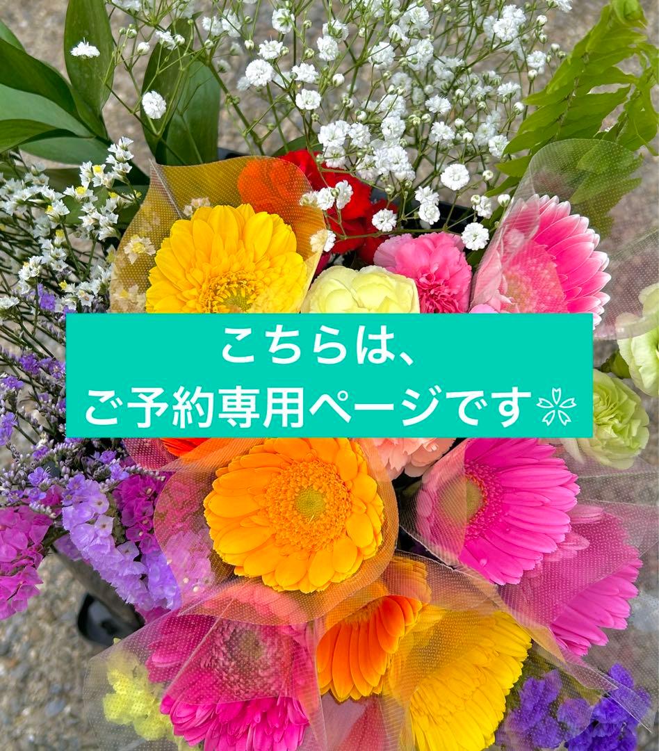 花農家直送！！こちらはご予約専用ページです❀ ⚠︎1月〜値上げです⚠︎