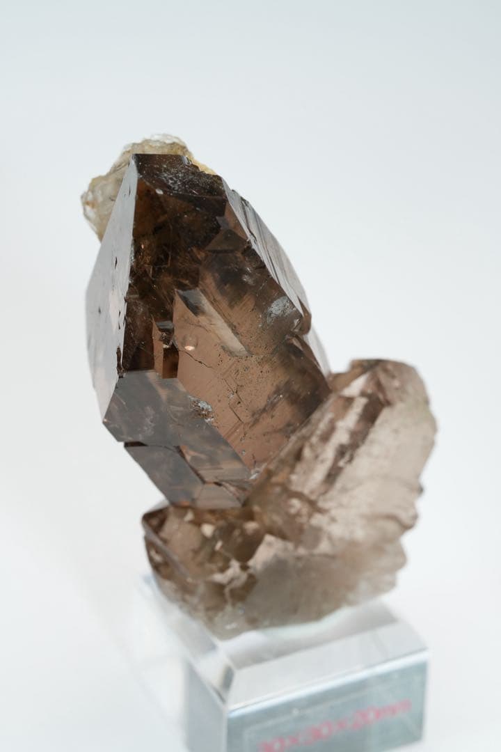 【両剣水晶on グインデル】 Gwindel フランス産 77×50×32mm