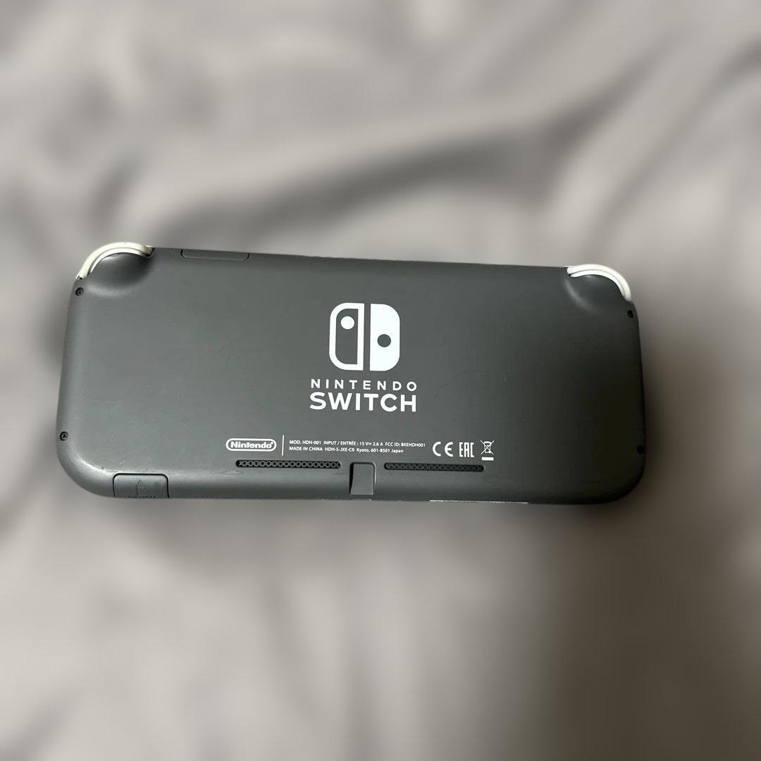 Nintendo Switch Lite本体 充電器付き