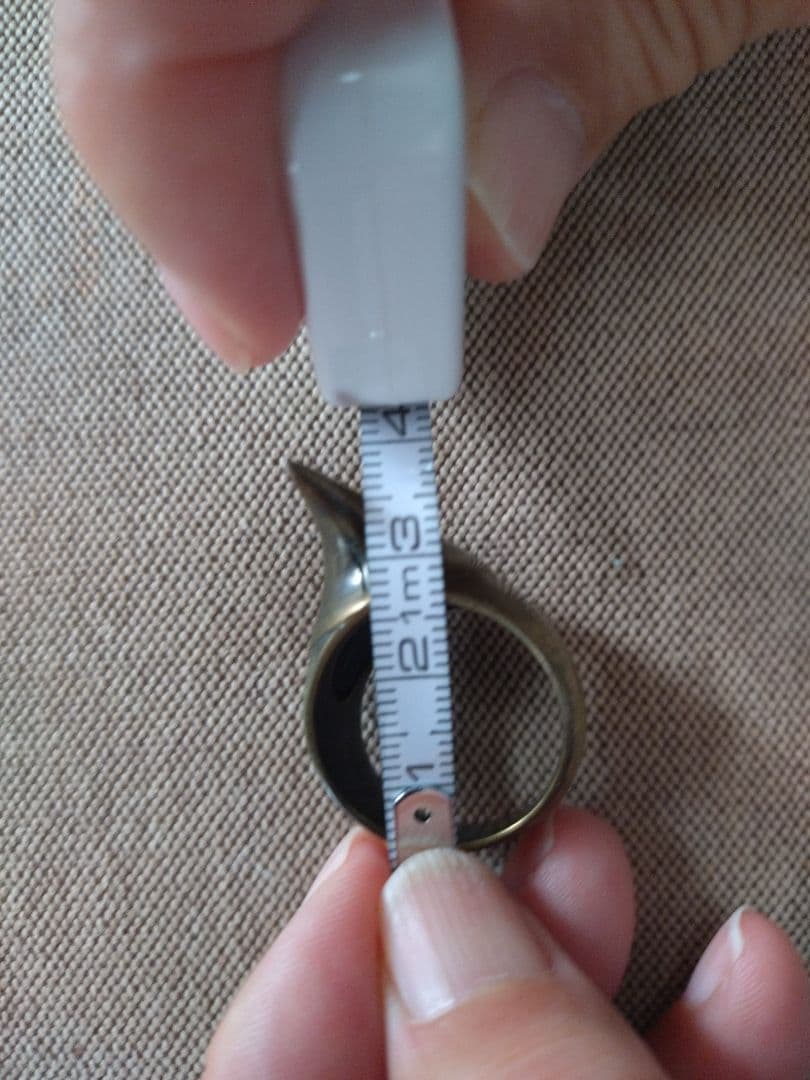 ビューティビースト　シルバーコーティング薔薇の棘デザインのリング