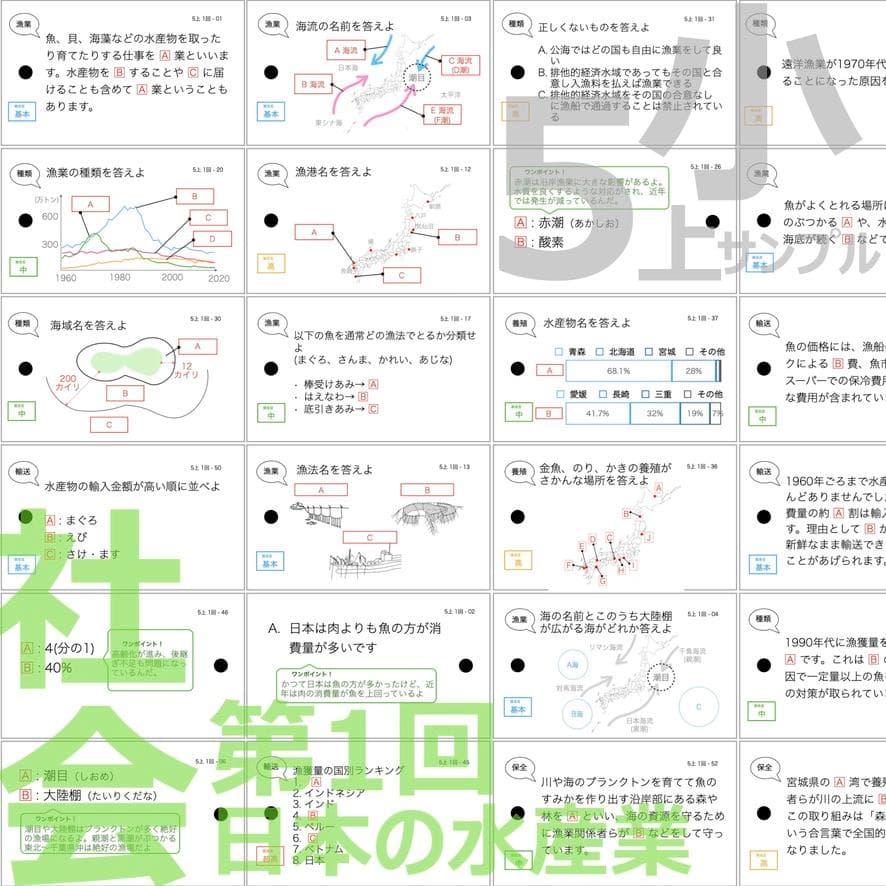 ＼＼2026福袋／／ 中学受験 暗記カード【5年生フルセット 現時点 社理国】