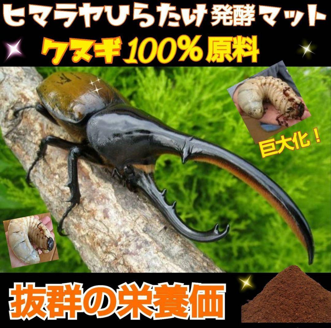 高品質！カブトムシ幼虫の餌　大きくなる！発酵マット【6袋】雑虫が湧きません！