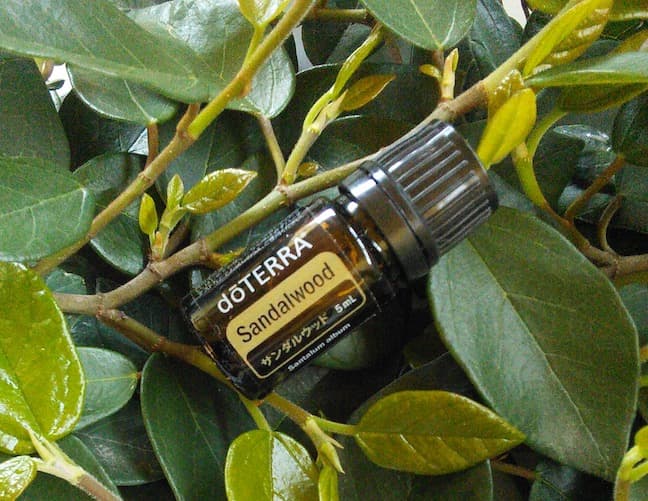 【❗️誤開封 未使用 最安】ドテラ サンダルウッド 5ml 期限25年12月