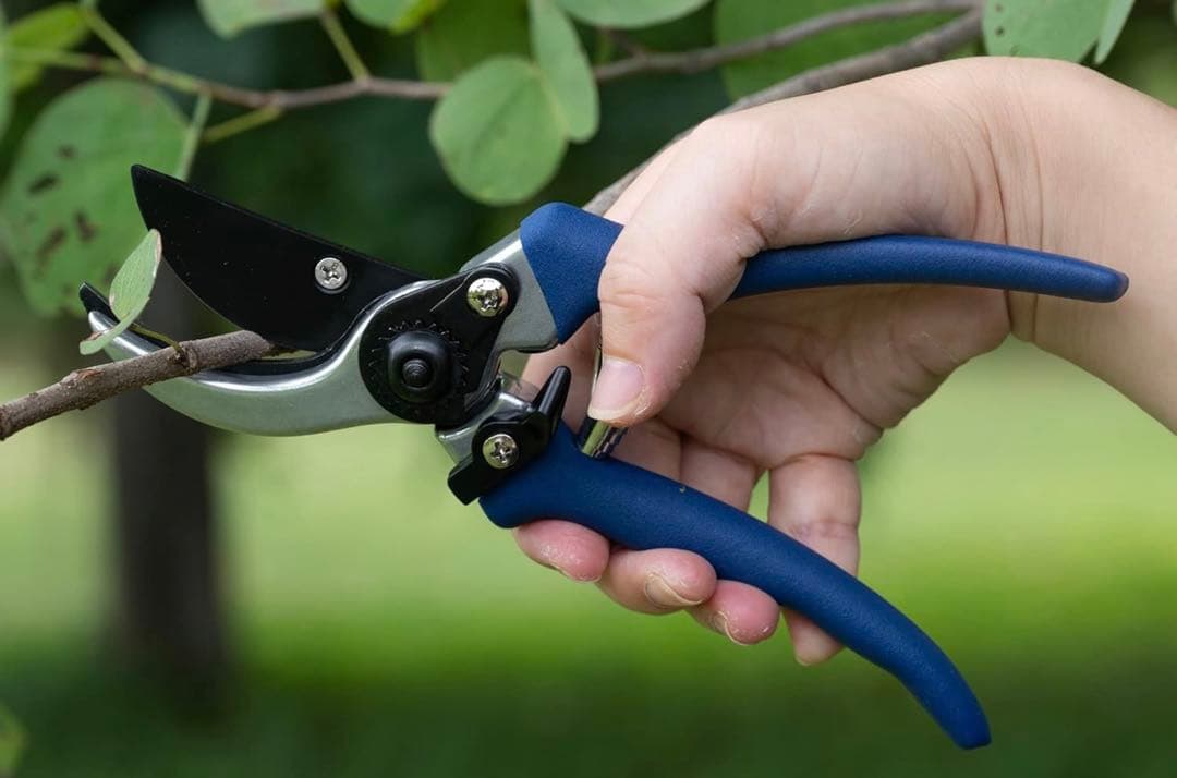 剪定鋏　切れ味　耐久性　高炭素　刃物　鋼　剪定ばさみ　210mm テフロン加工