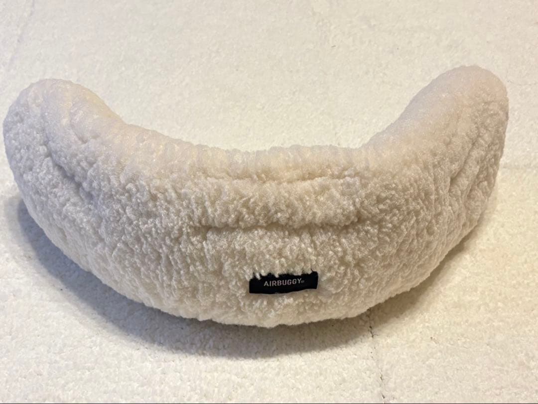 【美品】AIRBUGGY ドーム3 ラージサイズ ペットカート　別売品5点付