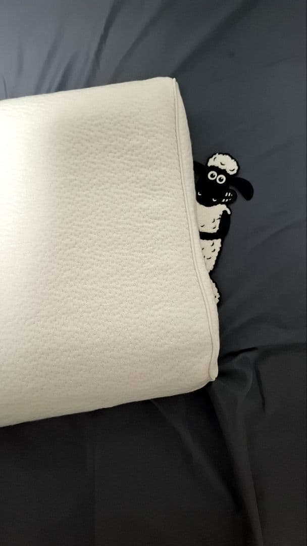 ショーンのいらない枕 おとな ヒツジのいらない枕 限定アイマスク付