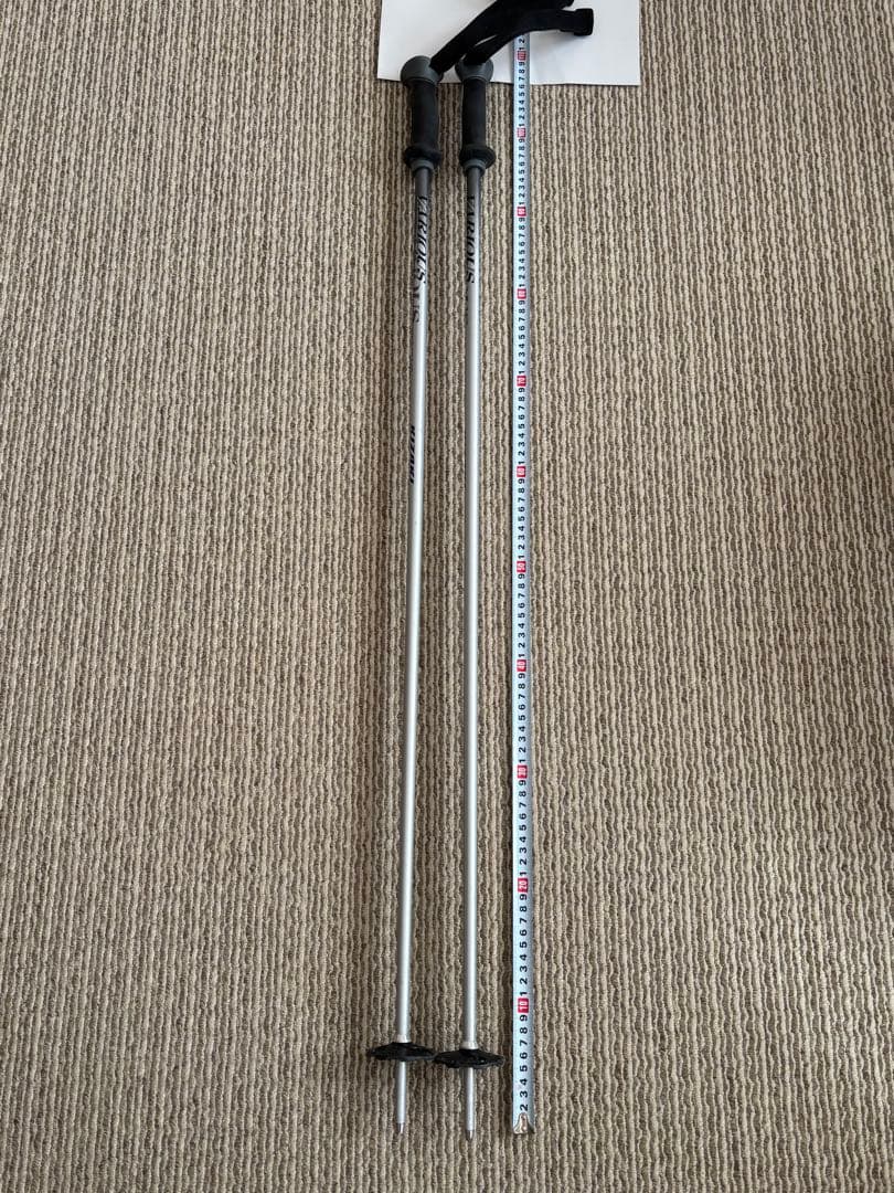 SALOMON VEスキー板（ビンディング付）・キザキストック・収納ケース