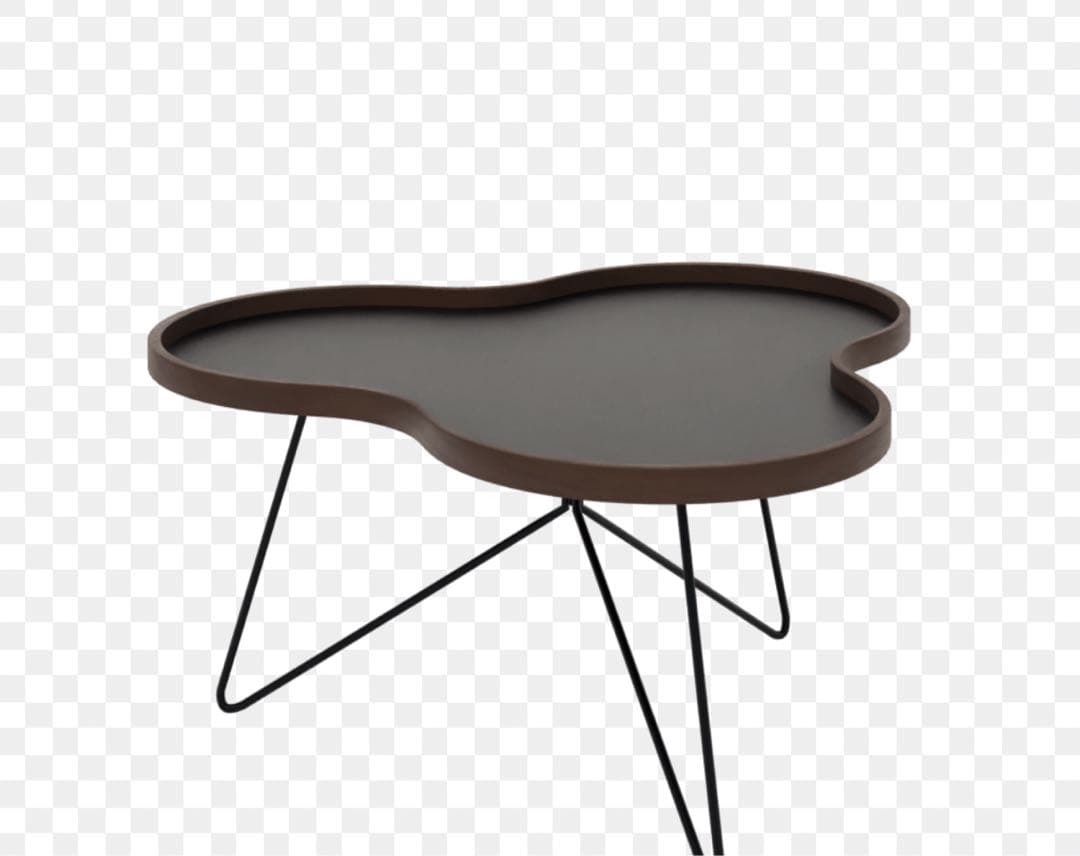 ブラックオーガニック形状センターテーブル【003】