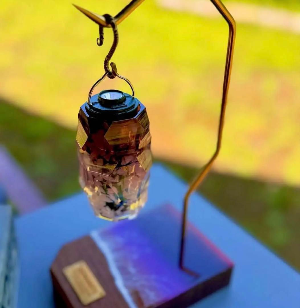 Briesta NUTS × 802 ブリエスタ 夜桜 YOSAKURA