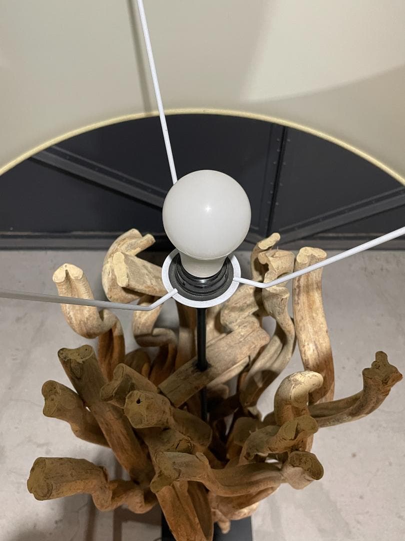 ◉KARE Design◉ Scultra　スカルトラ　流木 フロアランプ