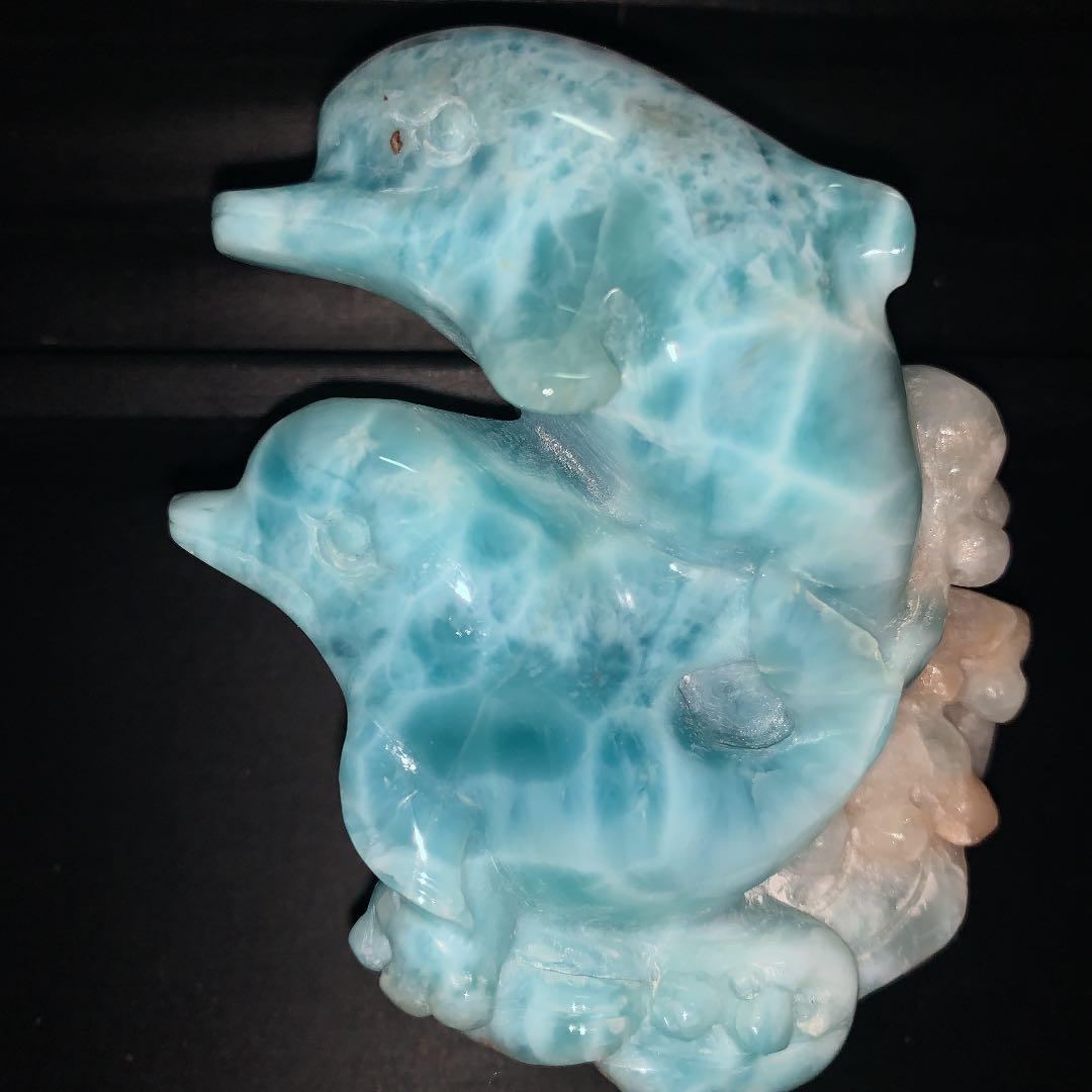 高品質♡ラクマー波乗りイルカちゃん❤