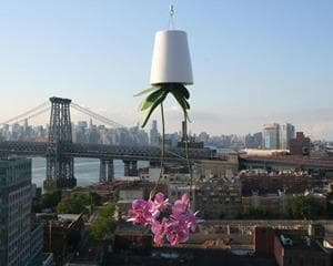 希少 廃盤品 陶器製 SKY PLANTER /スカイプランターbotanize